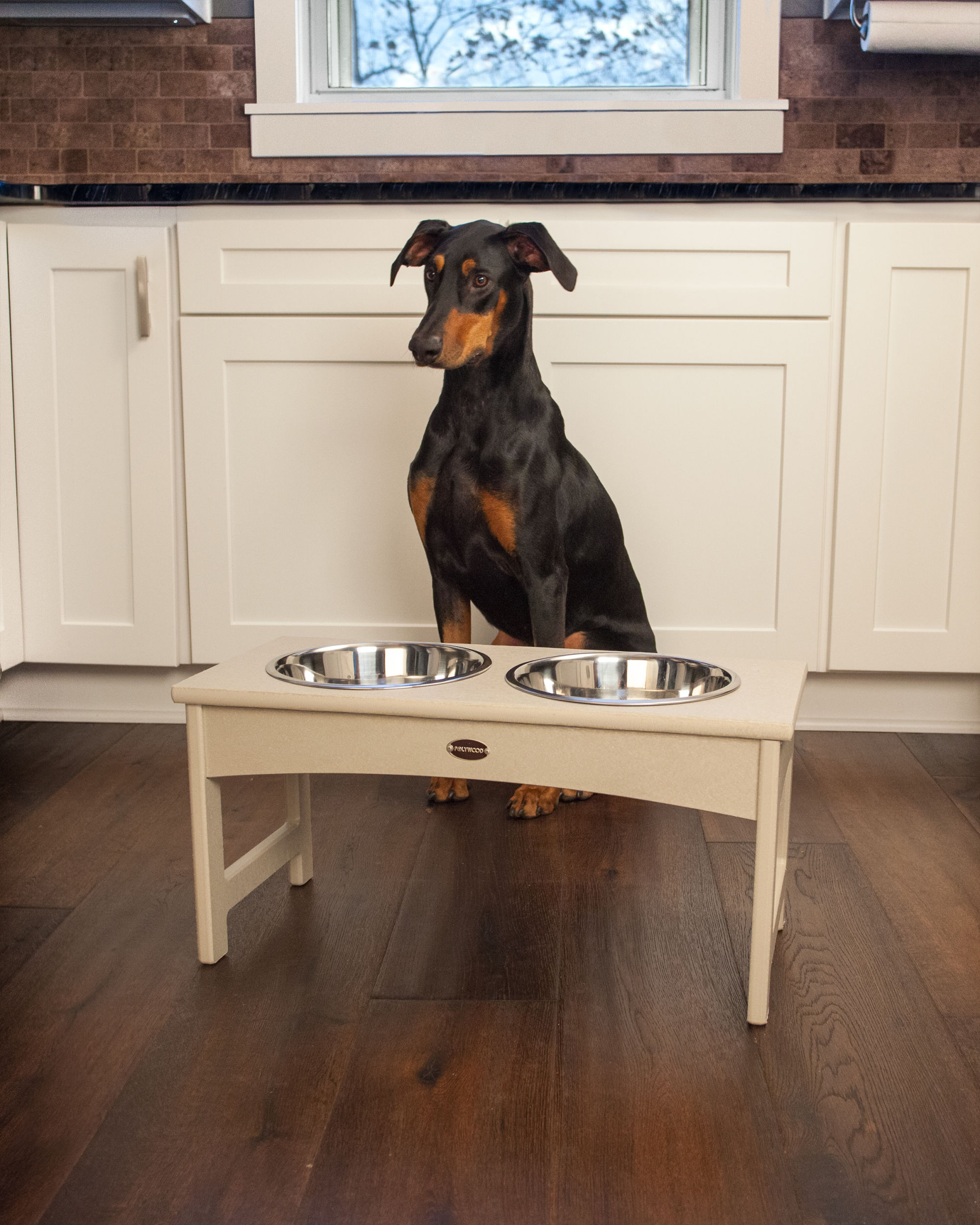 Elevated Dog Feeding Table for Large Size Dog / Raised Feeder for Big Dog / Large  Dog Bowls / Feeding Station With 2 Bowls / Black Frame 