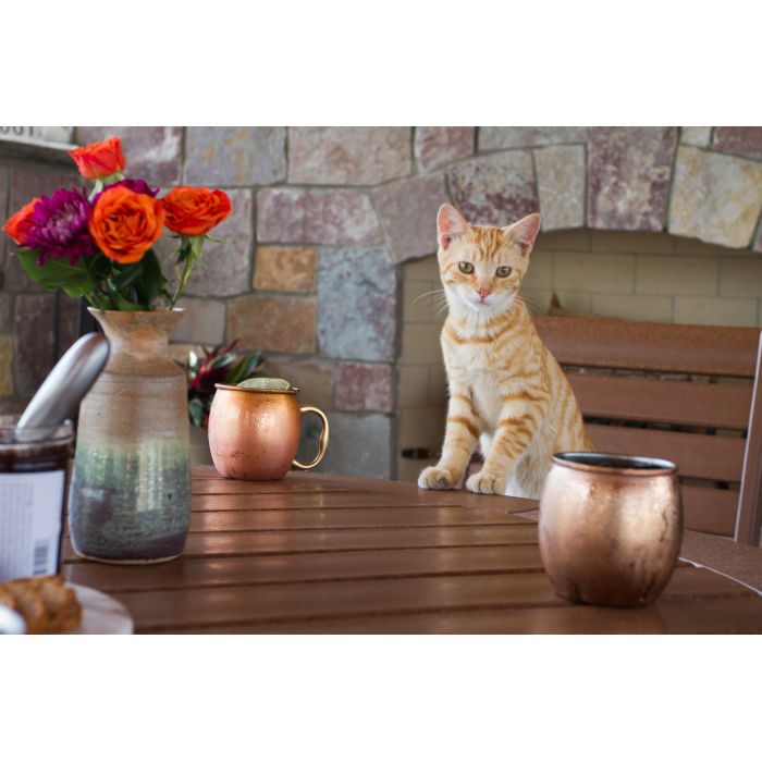 POLYWOOD Signature 5-Piece Round Dining Set with Trestle Legs