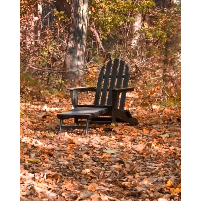 POLYWOOD Classics Ultimate Adirondack Chair